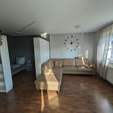 Fewo Lorenz Buchen  Exteriér fotografie